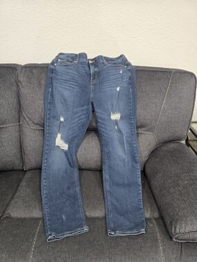 Torrid Distressed Mid Wash Blue Jeans